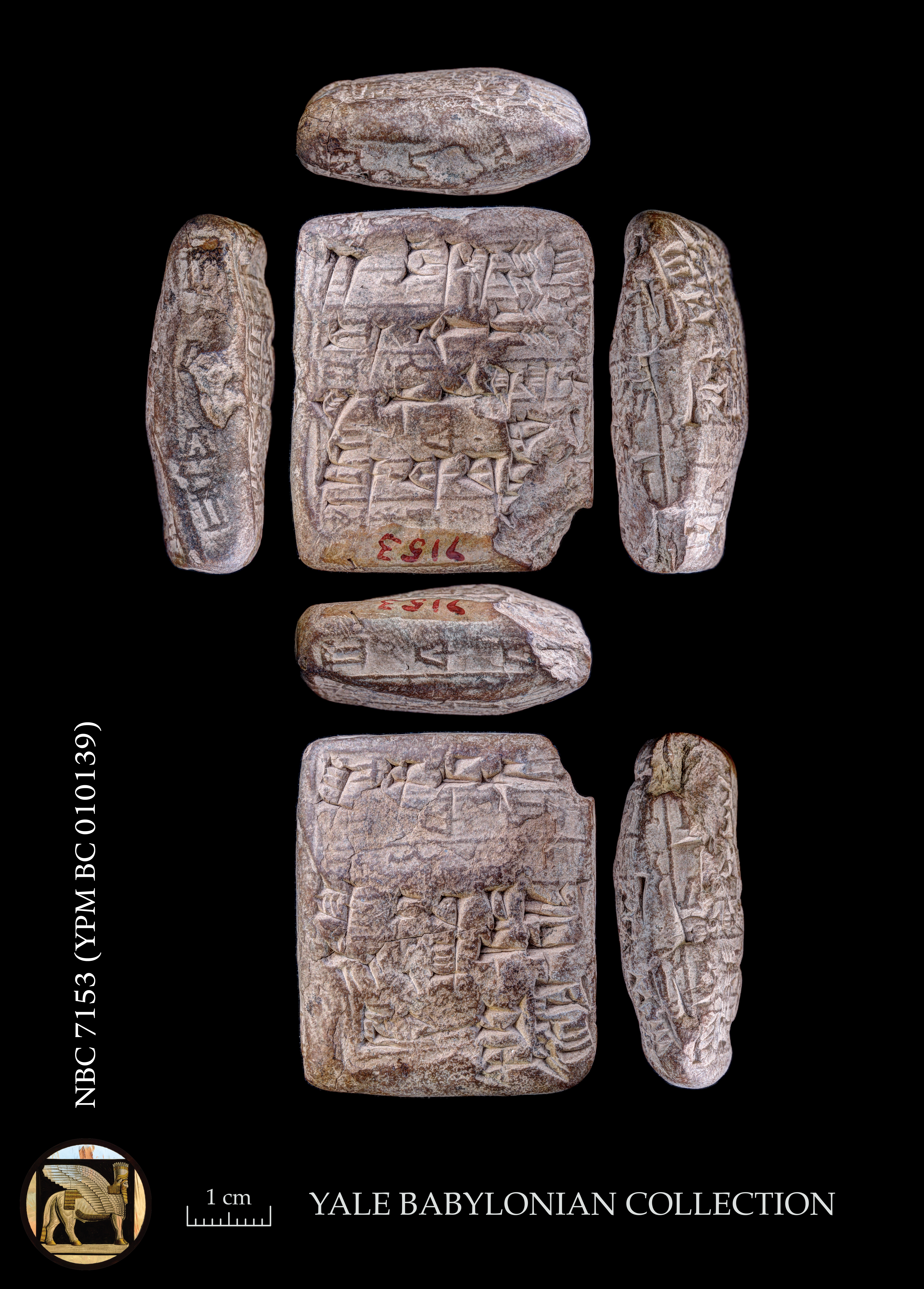 Babylonian Collection